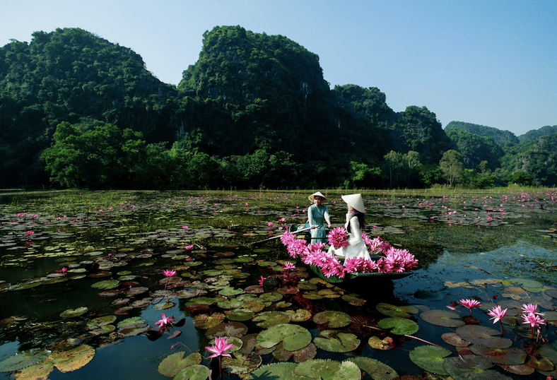 Sẵn sàng đón “làn sóng” khách du lịch quốc tế tại Ninh Bình